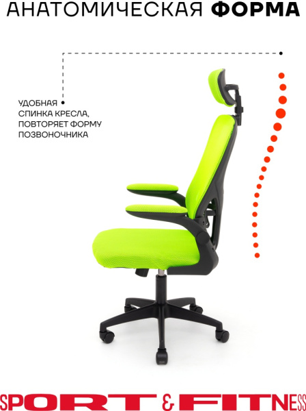 Офисное кресло Sport&Fitness SFBRCS20BCombo1, черный, зеленый